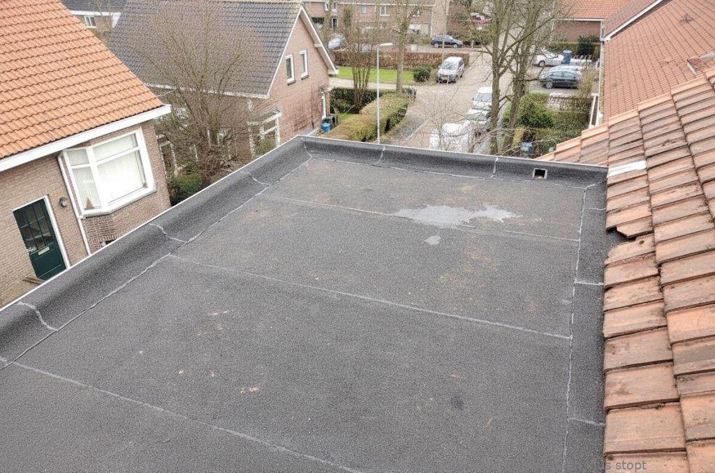Dakdekker In Najaar Utrecht