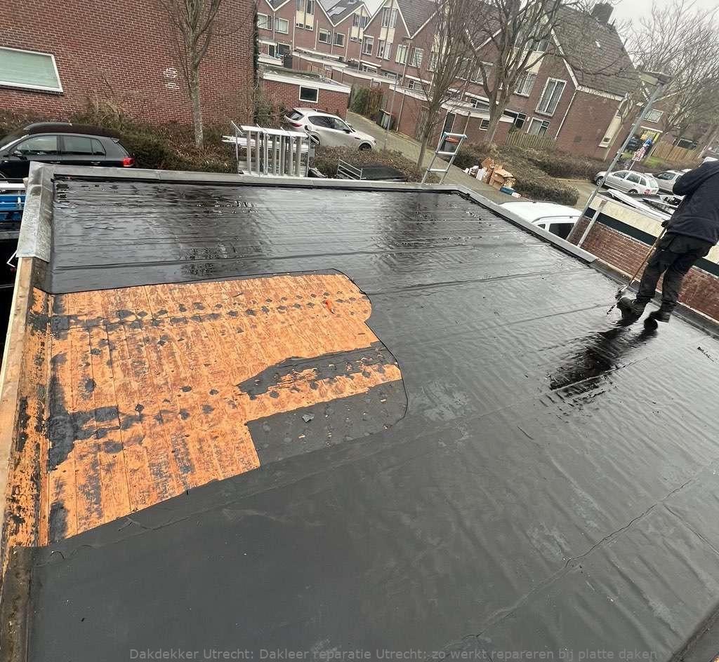 Dakleer Reparatie Utrecht